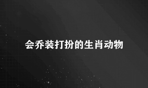 会乔装打扮的生肖动物
