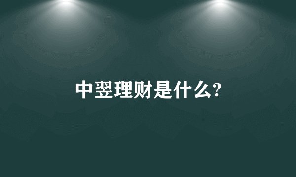 中翌理财是什么?