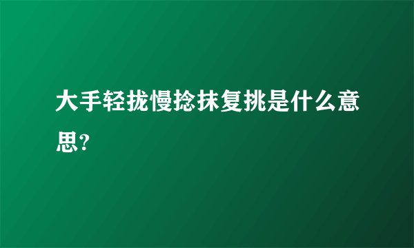 大手轻拢慢捻抹复挑是什么意思?