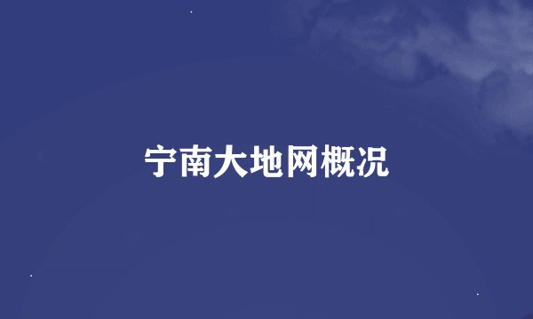 宁南大地网概况