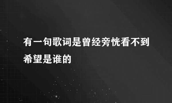 有一句歌词是曾经旁恍看不到希望是谁的