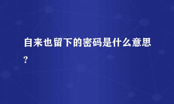 自来也留下的密码是什么意思?