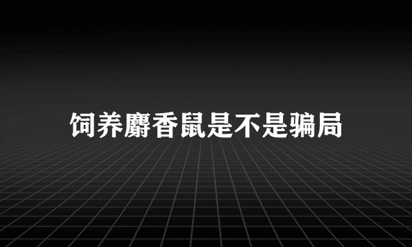 饲养麝香鼠是不是骗局
