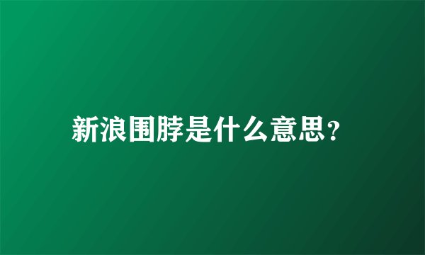 新浪围脖是什么意思？