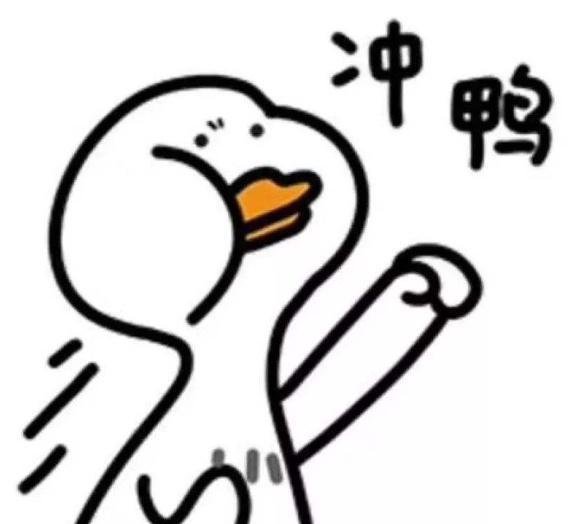 全军冲鸭!浙江十万战鸭出征巴基斯坦,剿灭蝗军!