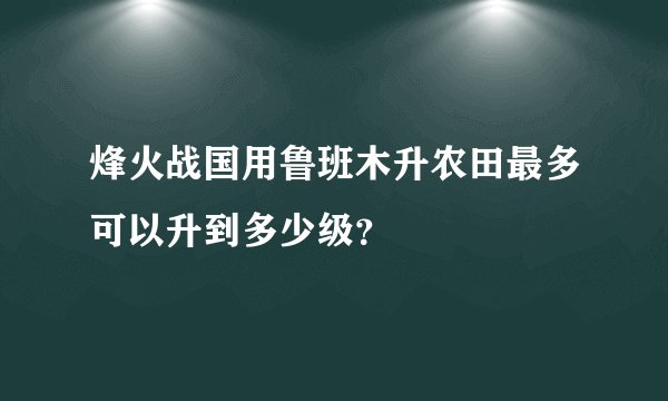 烽火战国用鲁班木升农田最多可以升到多少级?