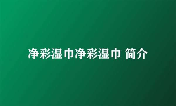 净彩湿巾净彩湿巾 简介
