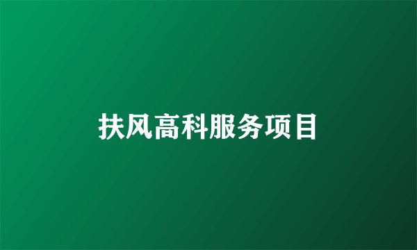 扶风高科服务项目