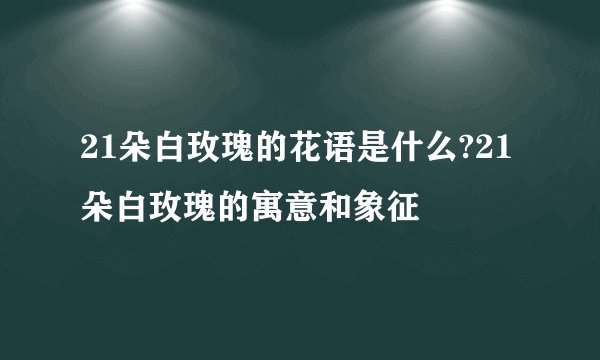 21朵白玫瑰的花语是什么?21朵白玫瑰的寓意和象征