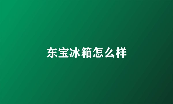 东宝冰箱怎么样