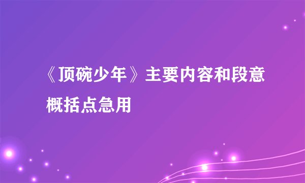 《顶碗少年》主要内容和段意 概括点急用