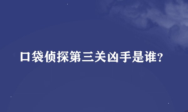 口袋侦探第三关凶手是谁？