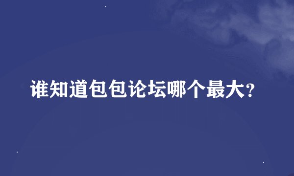 谁知道包包论坛哪个最大？
