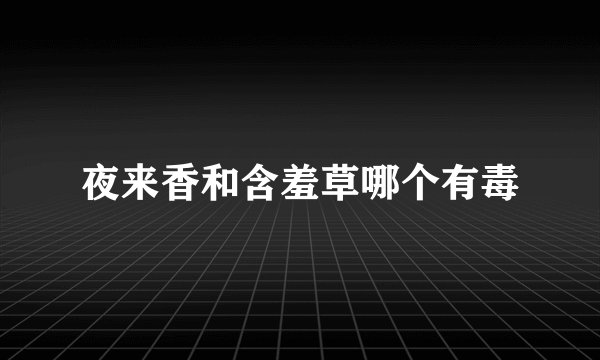 夜来香和含羞草哪个有毒