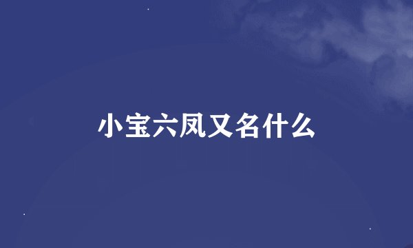 小宝六凤又名什么