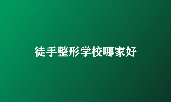 徒手整形学校哪家好