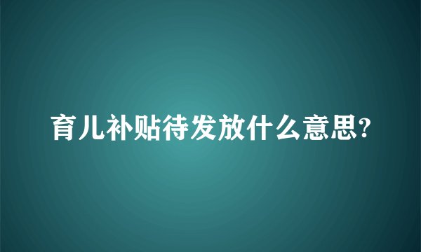 育儿补贴待发放什么意思?