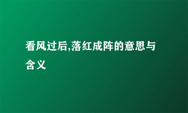 看风过后,落红成阵的意思与含义