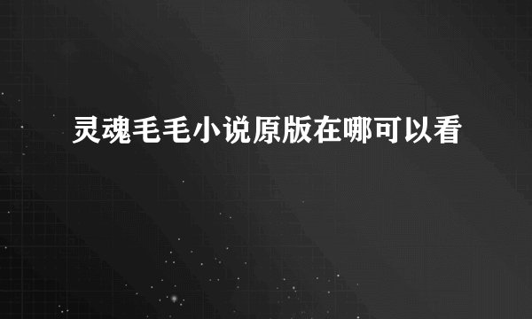 灵魂毛毛小说原版在哪可以看