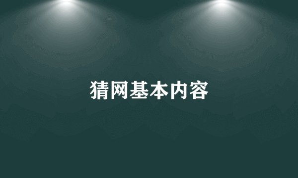 猜网基本内容