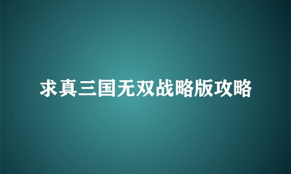 求真三国无双战略版攻略