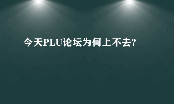 今天PLU论坛为何上不去?