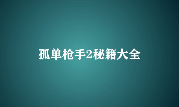 孤单枪手2秘籍大全