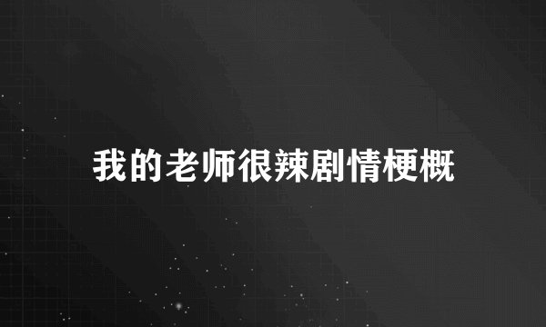 我的老师很辣剧情梗概