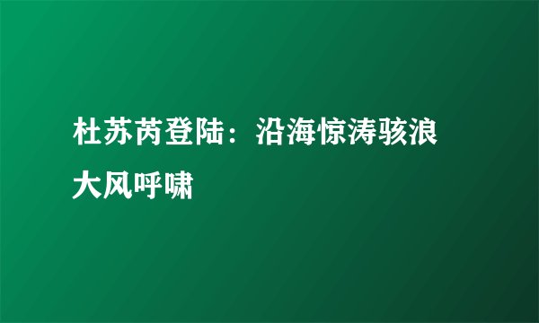 杜苏芮登陆：沿海惊涛骇浪 大风呼啸