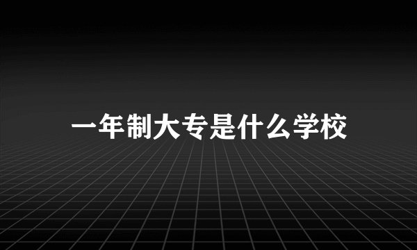 一年制大专是什么学校