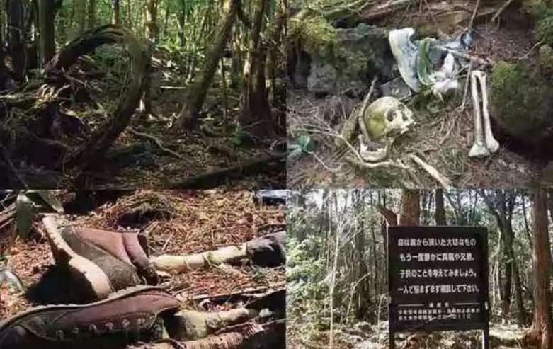 峨眉山山林发现两具尸体,从细节看是自杀还是意外身亡?