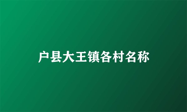 户县大王镇各村名称