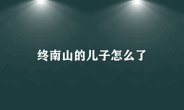 终南山的儿子怎么了