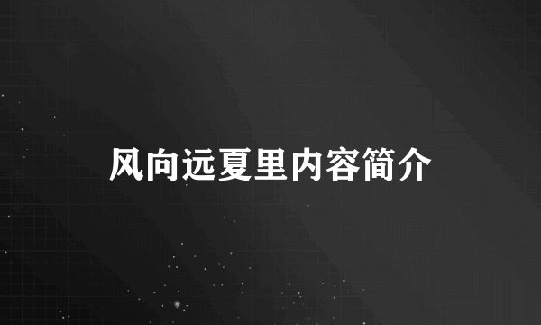 风向远夏里内容简介