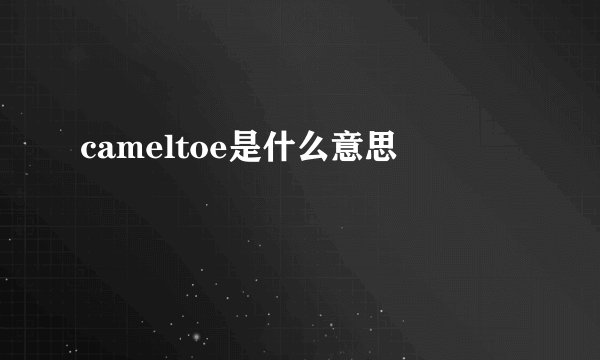 cameltoe是什么意思