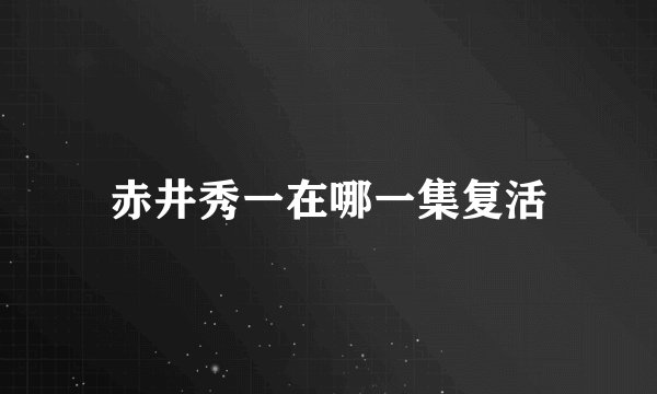 赤井秀一在哪一集复活