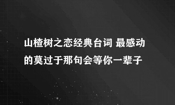 山楂树之恋经典台词 最感动的莫过于那句会等你一辈子