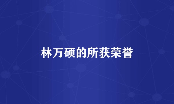 林万硕的所获荣誉