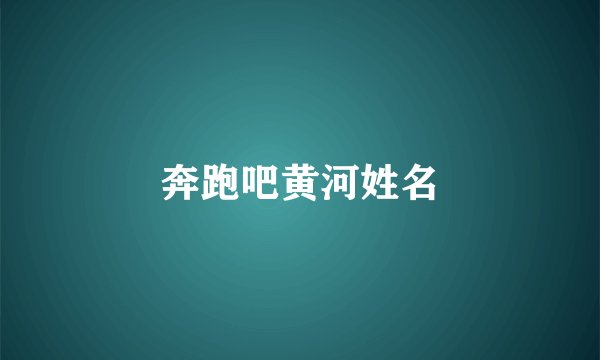 奔跑吧黄河姓名