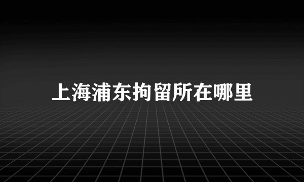 上海浦东拘留所在哪里
