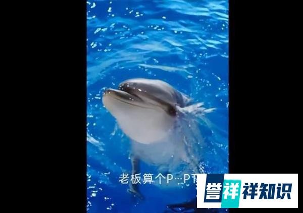 膜法世家海豚皮广告引争议，公司致歉并撤下，4年前险被55亿收购