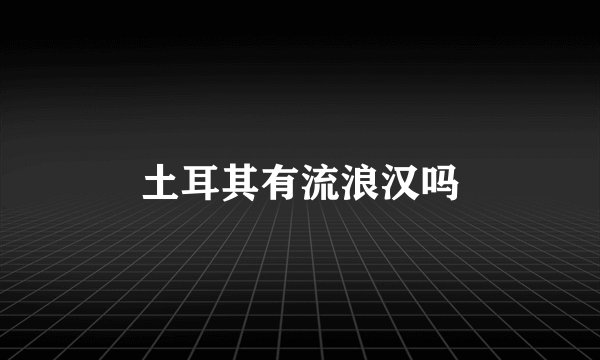 土耳其有流浪汉吗