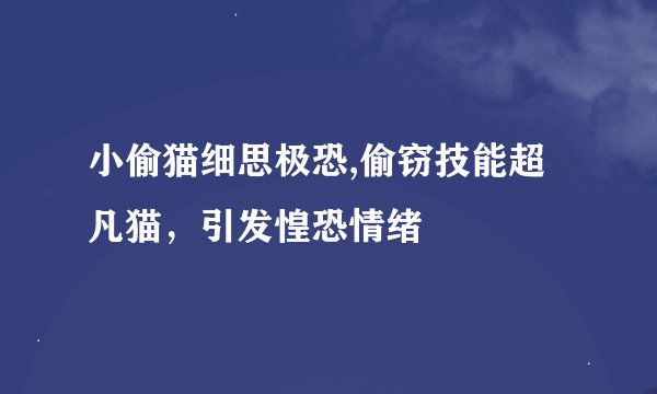 小偷猫细思极恐,偷窃技能超凡猫，引发惶恐情绪