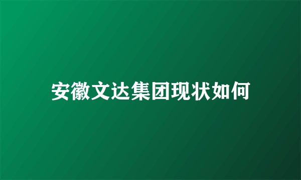 安徽文达集团现状如何