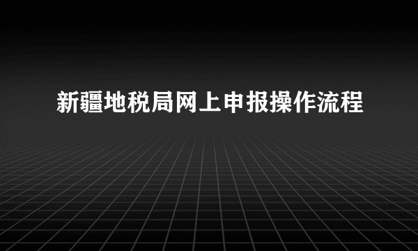 新疆地税局网上申报操作流程