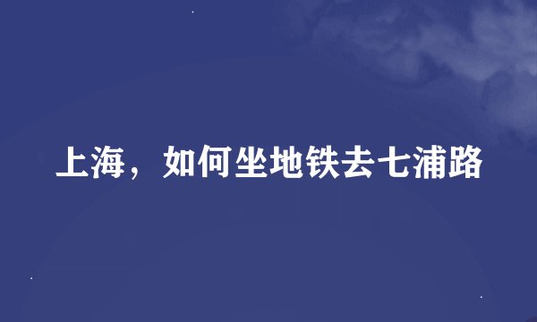 上海,如何坐地铁去七浦路
