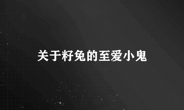 关于籽兔的至爱小鬼