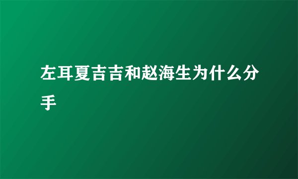 左耳夏吉吉和赵海生为什么分手