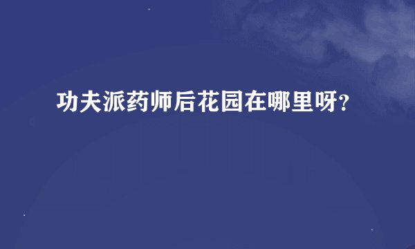 功夫派药师后花园在哪里呀？