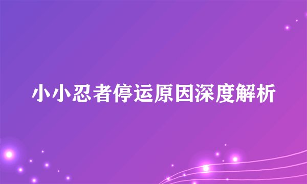 小小忍者停运原因深度解析